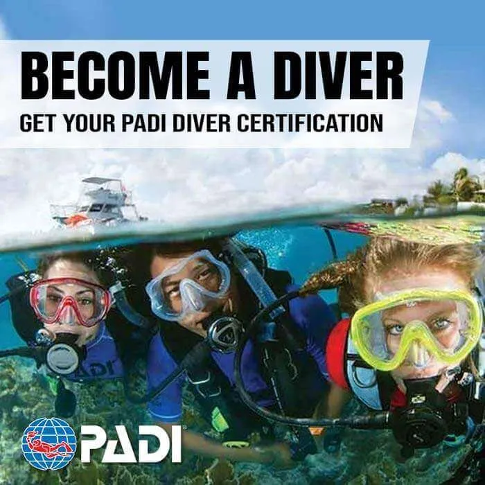 PADI Open Water Diver Courses in Thailand Become a PADI Open Water Diver in Pattaya Thailand