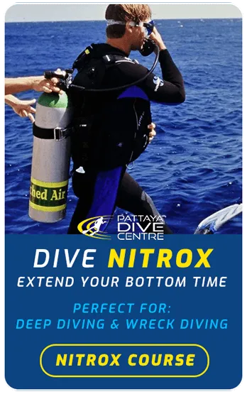 Dive Nitrox Thailand PADI Diving Courses Dive Nitrox Thailand PADI Diving Courses