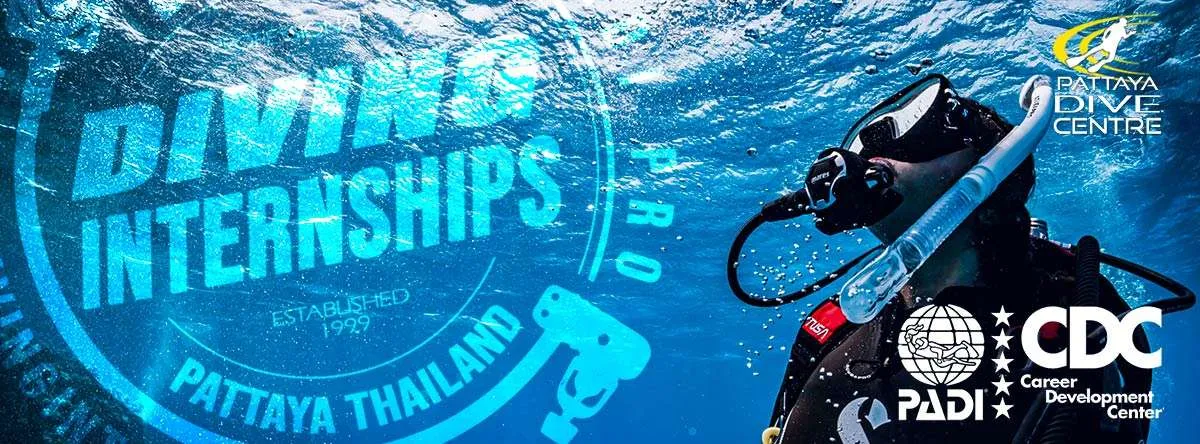 Diving Internships in Thailand Koh Tao Pattaya Phuket Diving Internships in Thailand Koh Tao Pattaya Phuket