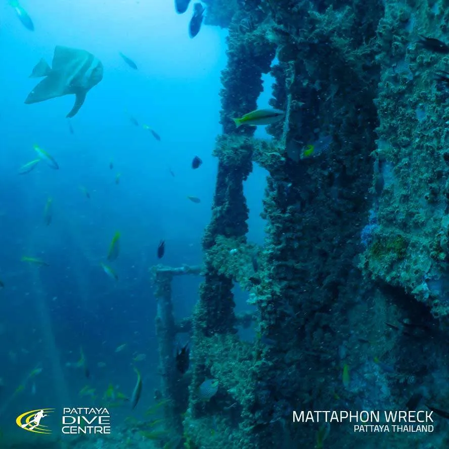 Mattaphon Wreck dive site in Thailand