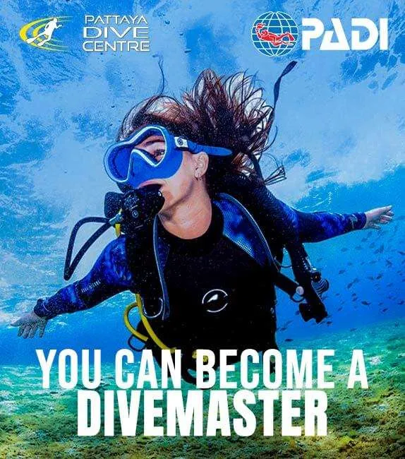 You can Become a PADI Divemaster