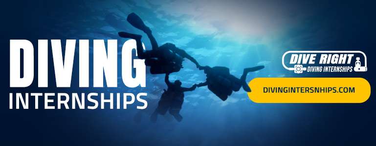 Dive Instructor Training Diving Internships in Pattaya Thailand Dive Instructor Training Diving Internships in Pattaya Thailand
