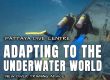 New diver training advice help