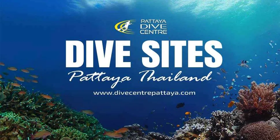 Best Pattaya Dive Sites Gulf of Thailand Best Pattaya Dive Sites Gulf of Thailand