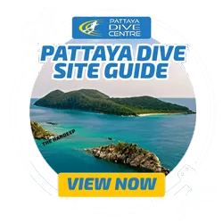 Pattaya Dive Site Guide Pattaya Dive Site Guide