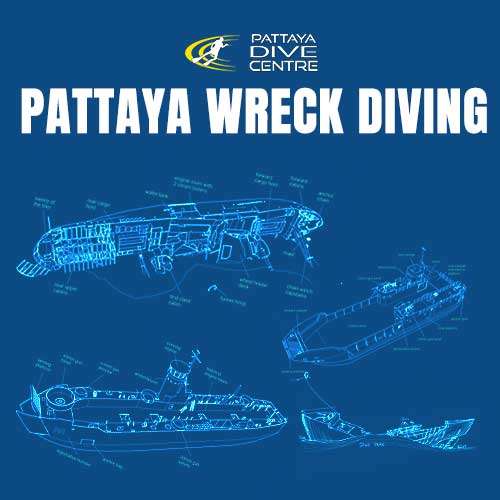 Pattaya Wreck Diving Dive Sites Thailand Pattaya Wreck Diving Dive Sites Thailand