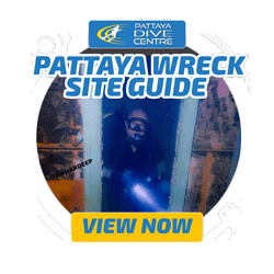 Pattaya wreck diving Thailand guide Pattaya wreck diving Thailand guide