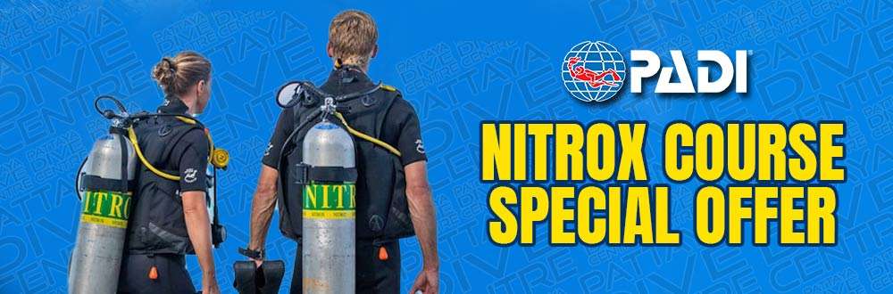 Nitrox Course offer Nitrox Course offer