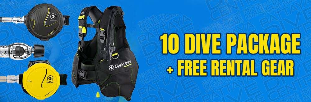 Thailand Fun diving package free rental dive equipment Thailand Fun diving package free rental dive equipment