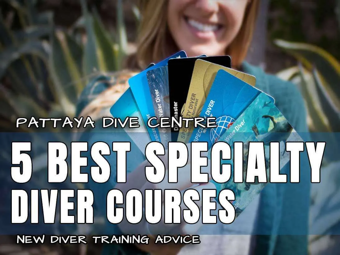 5 best specialty diver courses from PADI 5 best specialty diver courses from PADI