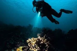 Night Diving PADI Specialty Courses Night Diving PADI Specialty Courses