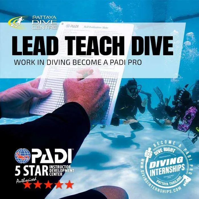 Become a PADI Pro Instructor Divemaster Courses Pattaya Become a PADI Pro Instructor Divemaster Courses Pattaya