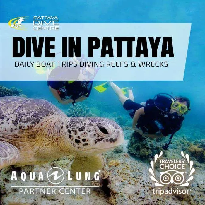 Diving Thailand Fun Dives Pattaya Dive Trip Scuba Diving Pattaya Thailand Fun Dives Pattaya Dive Trips