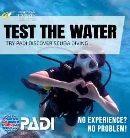 Scuba Diving Pattaya for beginners PADI Try Dives