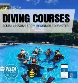 PADI Dive Courses