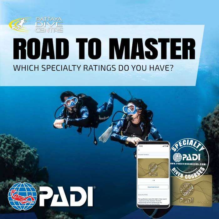 Master diving PADI Specialty-Diving Courses in Thailand PADI Specialty Diving Courses in Thailand