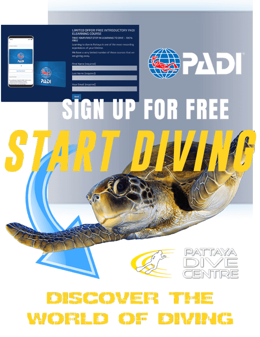 start scuba diving here discover scuba
