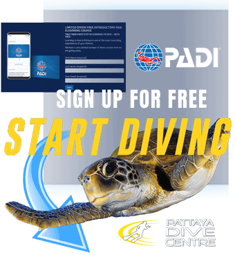 start scuba diving here