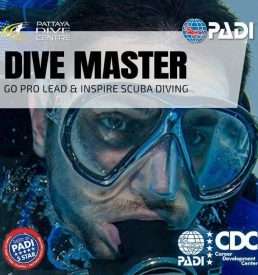 PADI DM Divemaster training courses in Pattaya Thailand